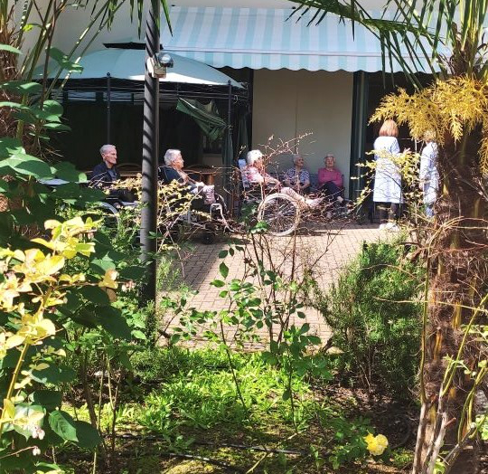 Al momento stai visualizzando Il giardino si fa bello!